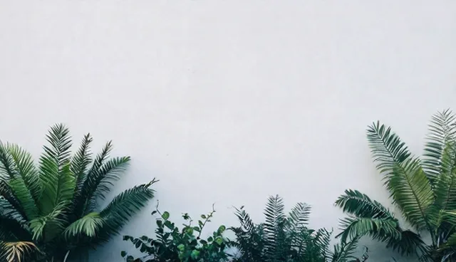 系统集成维护中的选型检查要点解析